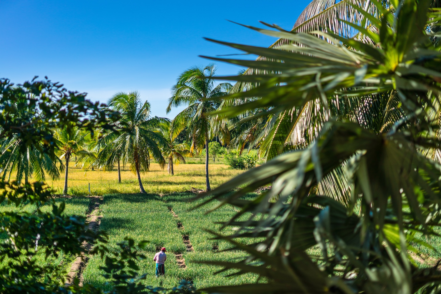 Taru Villas Maia, Habarana, Sri Lanka 32.jpg
