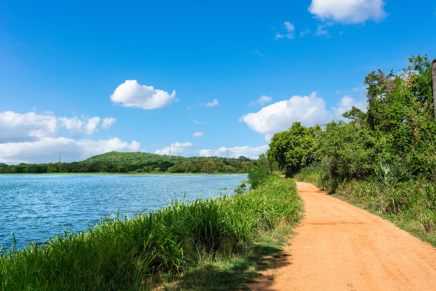 Taru Villas Maia, Habarana, Sri Lanka 19.jpg